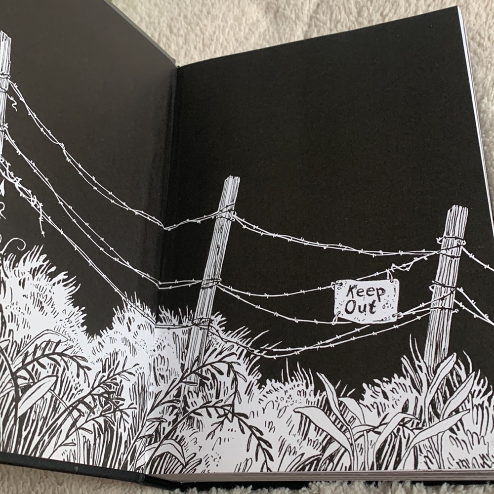 Thornhill by Pam Smy  *Like New Book - Picture 8 of 8